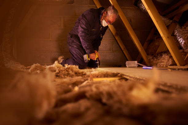 Insulation Replacement Services